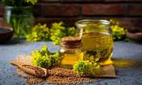 چهارمین روز از پویش ملی تغذیه سالم/روغن کانولا،روغن سلامتی