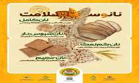 پیام معاون بهداشت دانشگاه علوم پزشکی البرز به مناسبت آغاز پویش نانو سلامت