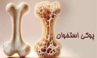 هفته آموزش و اطلاع رسانی پوکی استخوان ( 28 مهر الی 2 آبان 1404)